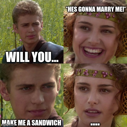 Anakin Padme 4 Panel | *HES GONNA MARRY ME!*; WILL YOU... .... MAKE ME A SANDWICH | image tagged in anakin padme 4 panel | made w/ Imgflip meme maker