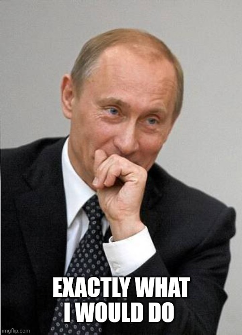 putin laugh | EXACTLY WHAT I WOULD DO | image tagged in putin laugh | made w/ Imgflip meme maker