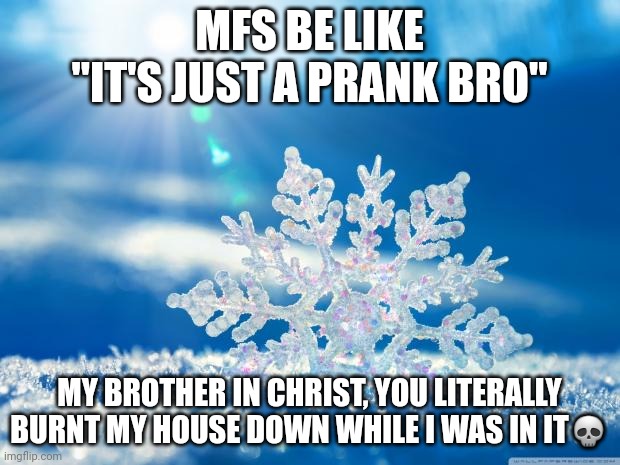 snowflake | MFS BE LIKE "IT'S JUST A PRANK BRO"; MY BROTHER IN CHRIST, YOU LITERALLY BURNT MY HOUSE DOWN WHILE I WAS IN IT💀 | image tagged in snowflake | made w/ Imgflip meme maker