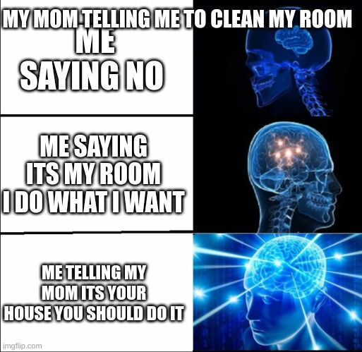 CLEANING MY ROOM | MY MOM TELLING ME TO CLEAN MY ROOM; ME SAYING NO; ME SAYING ITS MY ROOM I DO WHAT I WANT; ME TELLING MY MOM ITS YOUR HOUSE YOU SHOULD DO IT | image tagged in galaxy brain 3 brains | made w/ Imgflip meme maker