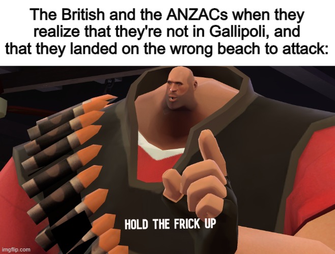 "Wait, THIS ISN'T THE RIGHT BEACH" X_X | The British and the ANZACs when they realize that they're not in Gallipoli, and that they landed on the wrong beach to attack: | image tagged in hold the frick up | made w/ Imgflip meme maker