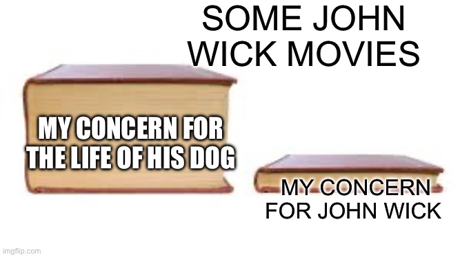 Big book small book | SOME JOHN WICK MOVIES; MY CONCERN FOR JOHN WICK; MY CONCERN FOR THE LIFE OF HIS DOG | image tagged in big book small book | made w/ Imgflip meme maker