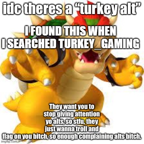 idc its turkey alt | I FOUND THIS WHEN I SEARCHED TURKEY_GAMING | image tagged in idc its turkey alt | made w/ Imgflip meme maker