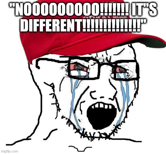 "NOOOOOOOOO!!!!!!! IT"S DIFFERENT!!!!!!!!!!!!!!" | made w/ Imgflip meme maker