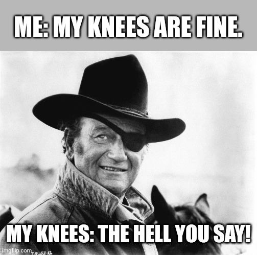 John Wayne | ME: MY KNEES ARE FINE. MY KNEES: THE HELL YOU SAY! | image tagged in duke,john wayne,knee surgery | made w/ Imgflip meme maker