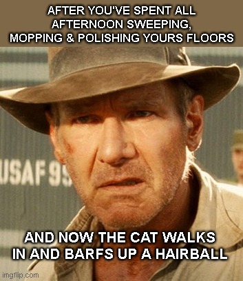 Never fails | AFTER YOU'VE SPENT ALL AFTERNOON SWEEPING, MOPPING & POLISHING YOURS FLOORS; AND NOW THE CAT WALKS IN AND BARFS UP A HAIRBALL | image tagged in indiana jones look of disbelief,cats,real life,funny,humor | made w/ Imgflip meme maker