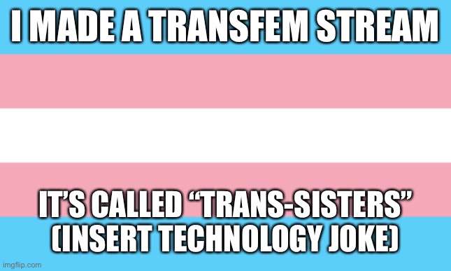 for my transfems | I MADE A TRANSFEM STREAM; IT’S CALLED “TRANS-SISTERS” (INSERT TECHNOLOGY JOKE) | image tagged in trans flag,trans,flag,f l a g,t r a n s,f  l  a  g | made w/ Imgflip meme maker