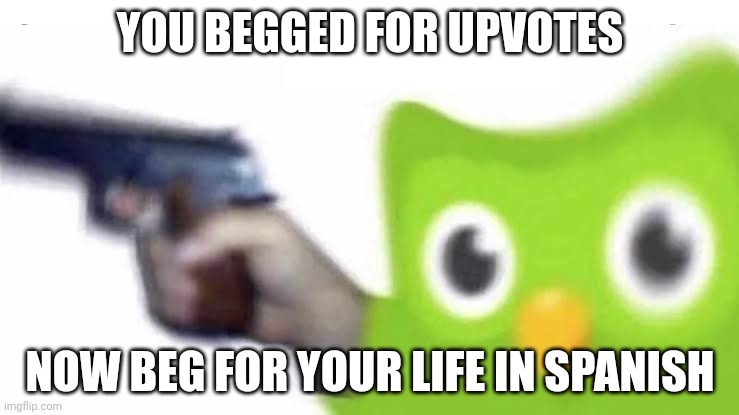 BEG FOR YOUR LIFE IN SPANISH. | YOU BEGGED FOR UPVOTES; NOW BEG FOR YOUR LIFE IN SPANISH | image tagged in beg for your life in spanish,duolingo bird | made w/ Imgflip meme maker