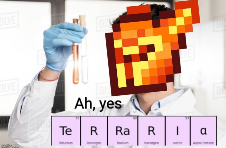 image tagged in funny,memes,terraria | made w/ Imgflip meme maker