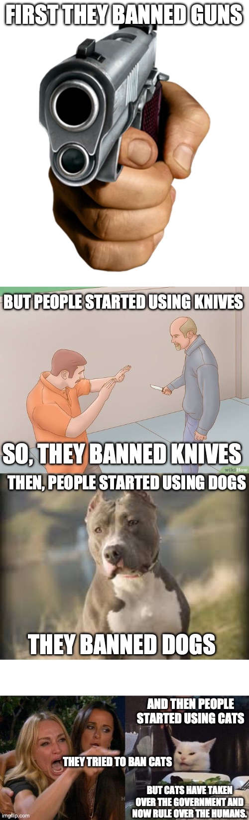 Planet of the Cats | FIRST THEY BANNED GUNS; BUT PEOPLE STARTED USING KNIVES; SO, THEY BANNED KNIVES; THEN, PEOPLE STARTED USING DOGS; THEY BANNED DOGS; AND THEN PEOPLE STARTED USING CATS; THEY TRIED TO BAN CATS; BUT CATS HAVE TAKEN OVER THE GOVERNMENT AND NOW RULE OVER THE HUMANS. | image tagged in pointing gun,crazy stabbing,pitbull dog,memes,woman yelling at cat | made w/ Imgflip meme maker