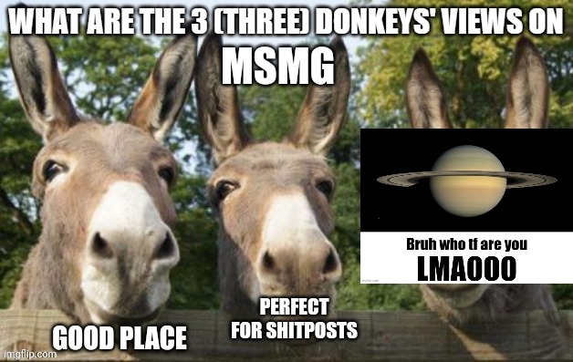 What are the 3 (three) donkeys' views on X | MSMG; GOOD PLACE; PERFECT FOR SHITPOSTS | image tagged in what are the 3 three donkeys' views on x,msmg,bruh who tf are you lmao,memes,funny | made w/ Imgflip meme maker