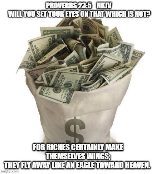 Bag of money | PROVERBS 23:5    NKJV             WILL YOU SET YOUR EYES ON THAT WHICH IS NOT? FOR RICHES CERTAINLY MAKE THEMSELVES WINGS;
THEY FLY AWAY LIKE AN EAGLE TOWARD HEAVEN. | image tagged in bag of money | made w/ Imgflip meme maker