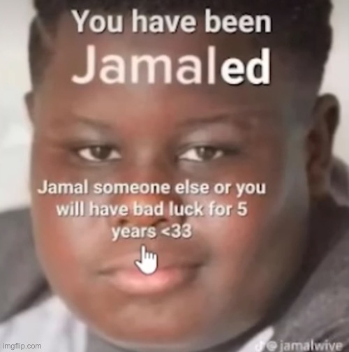 You have been jamaled | image tagged in jamal,memes,fun | made w/ Imgflip meme maker
