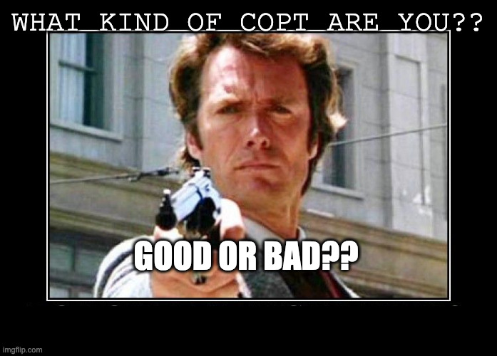 clint eastwood dirty harry do you feel lucky punk | WHAT KIND OF COPT ARE YOU?? GOOD OR BAD?? | image tagged in clint eastwood dirty harry do you feel lucky punk | made w/ Imgflip meme maker