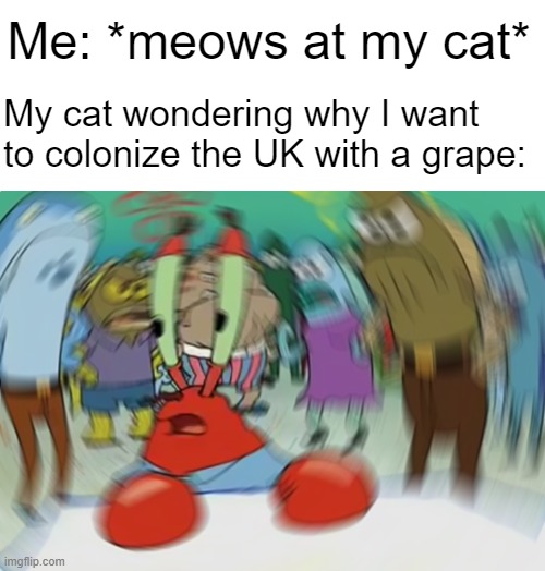 You're crazy! Anyway, it's been exactly 12 minutes since you've last fed me. I'm about to die of starvation. | My cat wondering why I want to colonize the UK with a grape:; Me: *meows at my cat* | image tagged in memes,mr krabs blur meme | made w/ Imgflip meme maker