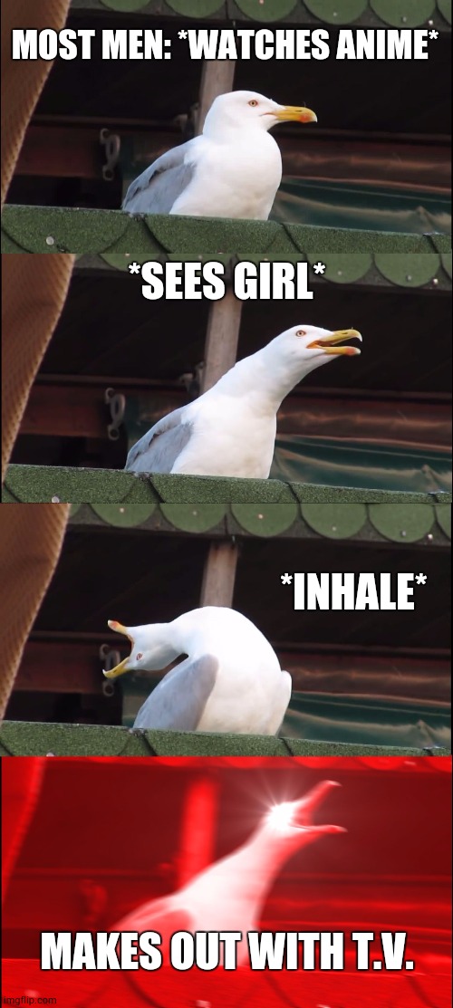 Inhaling Seagull | MOST MEN: *WATCHES ANIME*; *SEES GIRL*; *INHALE*; MAKES OUT WITH T.V. | image tagged in memes,inhaling seagull | made w/ Imgflip meme maker