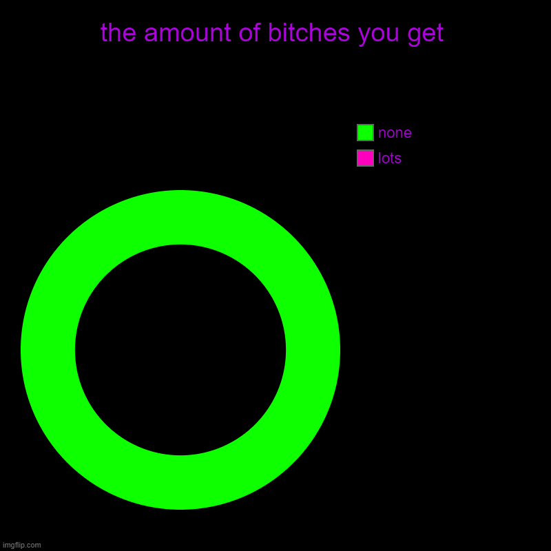 am i right? | the amount of bitches you get | lots, none | image tagged in charts,donut charts | made w/ Imgflip chart maker