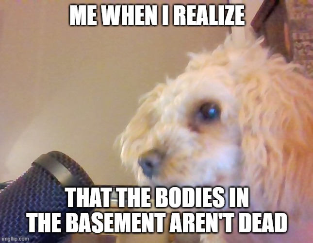ME WHEN I REALIZE; THAT THE BODIES IN THE BASEMENT AREN'T DEAD | made w/ Imgflip meme maker