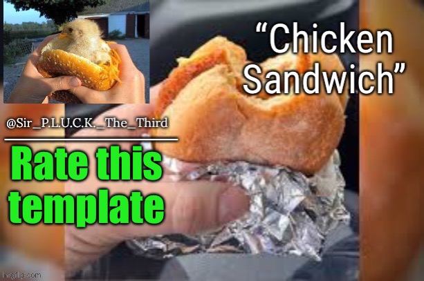 Chicken sandwich (thanks behapp) | Rate this template | image tagged in chicken sandwich thanks behapp | made w/ Imgflip meme maker