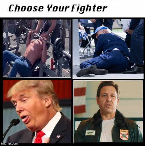 Choose your fighter Imgflip