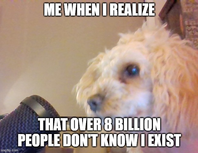Sad | ME WHEN I REALIZE; THAT OVER 8 BILLION PEOPLE DON'T KNOW I EXIST | image tagged in dog,dogs,podcast,me when,meme | made w/ Imgflip meme maker