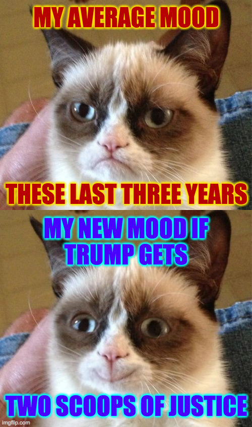 His prison name should be Sprinkles. | MY AVERAGE MOOD; THESE LAST THREE YEARS; MY NEW MOOD IF
TRUMP GETS; TWO SCOOPS OF JUSTICE | image tagged in memes,grumpy cat,grump cat happy,trump,sprinkles | made w/ Imgflip meme maker