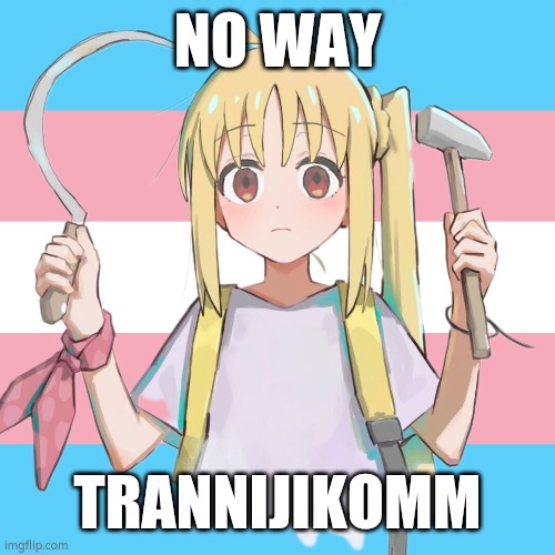 Avatar of someone in my Discord group | NO WAY; TRANNIJIKOMM | image tagged in bocchi the rock | made w/ Imgflip meme maker