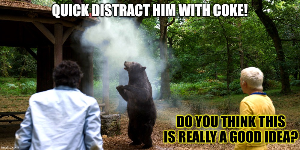Stop it! You're just making it worse! | QUICK DISTRACT HIM WITH COKE! DO YOU THINK THIS IS REALLY A GOOD IDEA? | image tagged in stop it get some help,cocaine,bear | made w/ Imgflip meme maker
