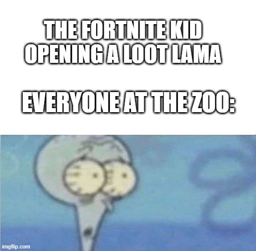 fortnite meme | THE FORTNITE KID OPENING A LOOT LAMA; EVERYONE AT THE ZOO: | image tagged in funny | made w/ Imgflip meme maker