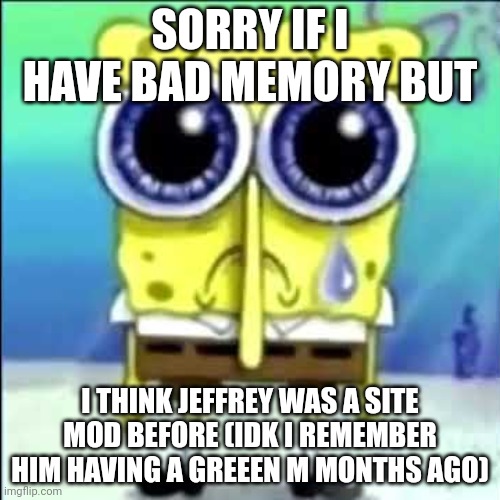 Sad Spongebob | SORRY IF I HAVE BAD MEMORY BUT; I THINK JEFFREY WAS A SITE MOD BEFORE (IDK I REMEMBER HIM HAVING A GREEEN M MONTHS AGO) | image tagged in sad spongebob | made w/ Imgflip meme maker