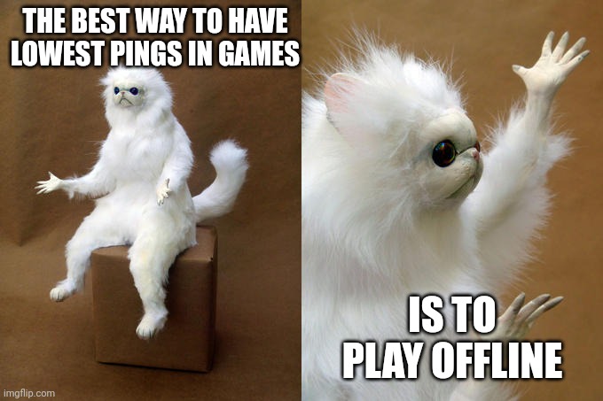 How To get lowest ping in games | THE BEST WAY TO HAVE LOWEST PINGS IN GAMES; IS TO PLAY OFFLINE | image tagged in memes,persian cat room guardian,ping | made w/ Imgflip meme maker