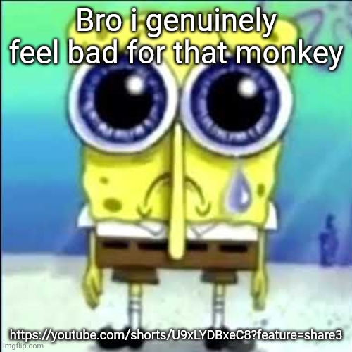 Sad Spongebob | Bro i genuinely feel bad for that monkey; https://youtube.com/shorts/U9xLYDBxeC8?feature=share3 | image tagged in sad spongebob | made w/ Imgflip meme maker