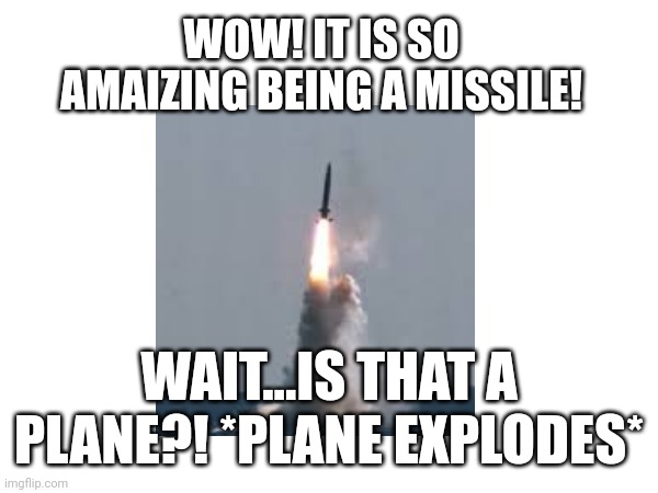 Being a Missile | WOW! IT IS SO AMAIZING BEING A MISSILE! WAIT...IS THAT A PLANE?! *PLANE EXPLODES* | image tagged in world war ii | made w/ Imgflip meme maker