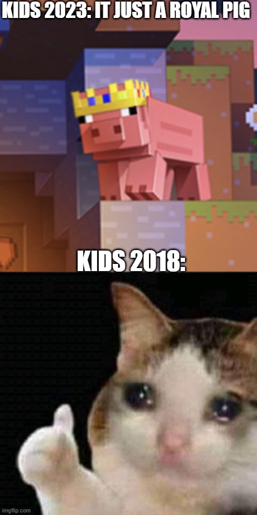 do anyone remember this guy? | KIDS 2023: IT JUST A ROYAL PIG; KIDS 2018: | image tagged in sad thumbs up cat,minecraft,technoblade,rip,rest in peace,remember | made w/ Imgflip meme maker