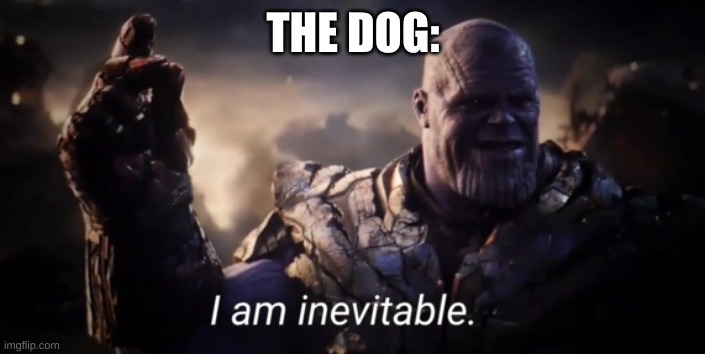 I am inevitable | THE DOG: | image tagged in i am inevitable | made w/ Imgflip meme maker