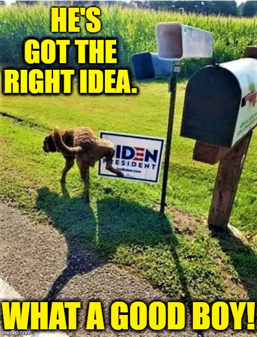 Let's Go, Brandon | HE'S; GOT THE    
RIGHT IDEA. WHAT A GOOD BOY! | image tagged in vince vance,dogs,joe biden,memes,pee,good dog | made w/ Imgflip meme maker