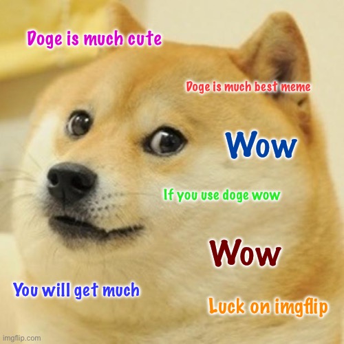 No upvote needed :) | Doge is much cute; Doge is much best meme; Wow; If you use doge wow; Wow; You will get much; Luck on imgflip | image tagged in memes,doge | made w/ Imgflip meme maker