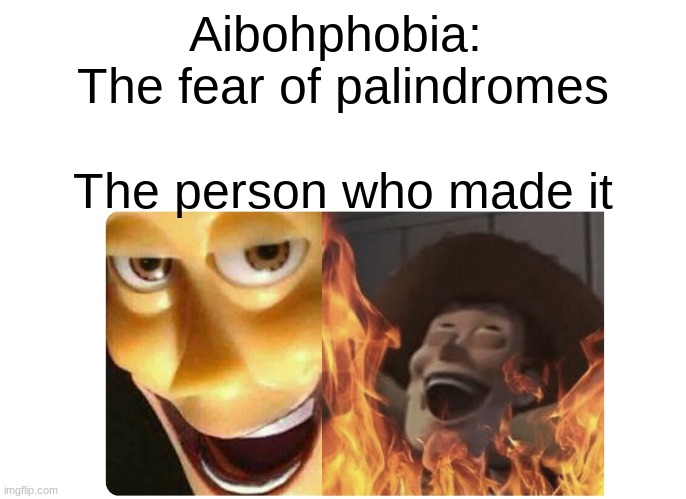 Satanic Woody | Aibohphobia: 
The fear of palindromes; The person who made it | image tagged in satanic woody | made w/ Imgflip meme maker