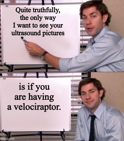 Ultrasound | Quite truthfully, the only way I want to see your ultrasound pictures; is if you are having a velociraptor. | image tagged in jim halpert explains | made w/ Imgflip meme maker
