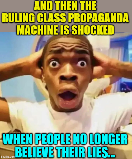 Shocked black guy | AND THEN THE RULING CLASS PROPAGANDA MACHINE IS SHOCKED WHEN PEOPLE NO LONGER BELIEVE THEIR LIES... | image tagged in shocked black guy | made w/ Imgflip meme maker