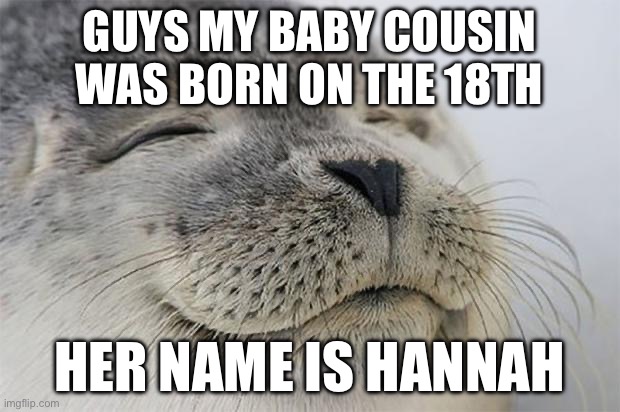 ????????????♥️♥️♥️♥️ | GUYS MY BABY COUSIN WAS BORN ON THE 18TH; HER NAME IS HANNAH | image tagged in memes,satisfied seal | made w/ Imgflip meme maker