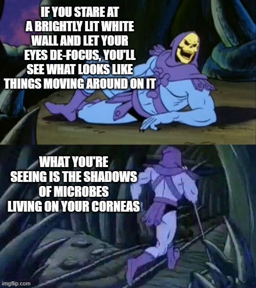 Skeletor disturbing facts | IF YOU STARE AT A BRIGHTLY LIT WHITE WALL AND LET YOUR EYES DE-FOCUS, YOU'LL SEE WHAT LOOKS LIKE THINGS MOVING AROUND ON IT; WHAT YOU'RE SEEING IS THE SHADOWS OF MICROBES LIVING ON YOUR CORNEAS | image tagged in skeletor disturbing facts | made w/ Imgflip meme maker