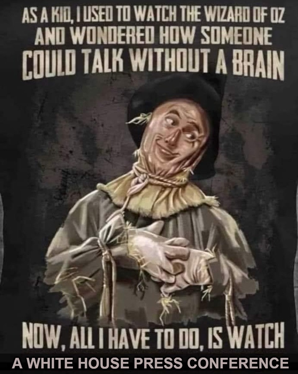 About Those IDIOTS in the White House... | image tagged in wizard of oz scarecrow,the wizard of oz,karine jean-pierre,special kind of stupid,special education,never go full retard | made w/ Imgflip meme maker