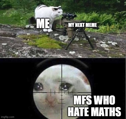 Sniper cat | ME; MY NEXT MEME; MFS WHO HATE MATHS | image tagged in sniper cat | made w/ Imgflip meme maker