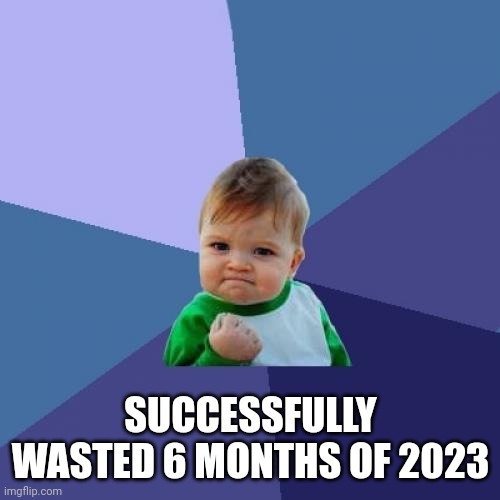 Successful kids | SUCCESSFULLY WASTED 6 MONTHS OF 2023 | image tagged in memes,success kid | made w/ Imgflip meme maker