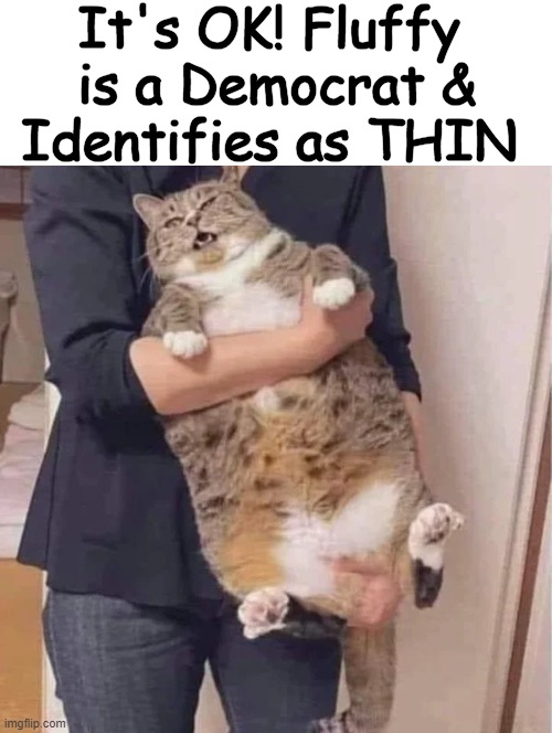 It's all about how you identify | It's OK! Fluffy 
is a Democrat &
Identifies as THIN | image tagged in political meme,identity,identity politics,identity crisis,identify,fluffy | made w/ Imgflip meme maker