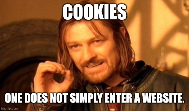 One Does Not Simply Meme | COOKIES; ONE DOES NOT SIMPLY ENTER A WEBSITE. | image tagged in memes,one does not simply | made w/ Imgflip meme maker
