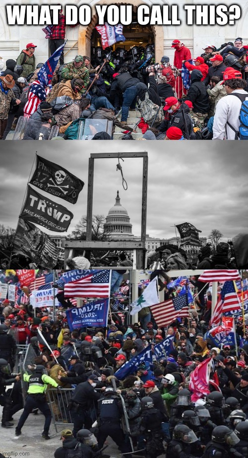 WHAT DO YOU CALL THIS? | image tagged in trump cult insurrection riot,capitol hill riot gallows,cop-killer maga right wing capitol riot january 6th | made w/ Imgflip meme maker