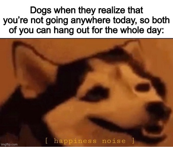 Dogs love when this happens :D | Dogs when they realize that you’re not going anywhere today, so both of you can hang out for the whole day: | image tagged in happines noise | made w/ Imgflip meme maker