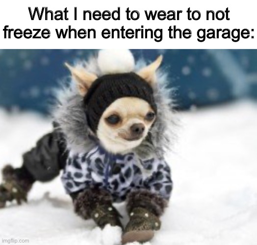 how cold is too cold for dog in garage